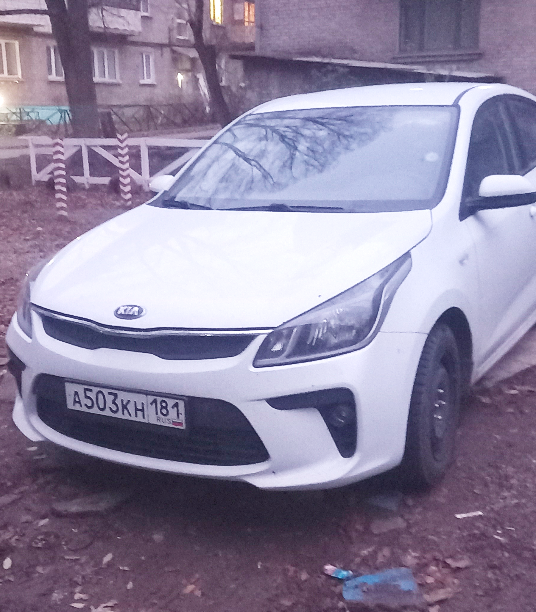 Kia Rio